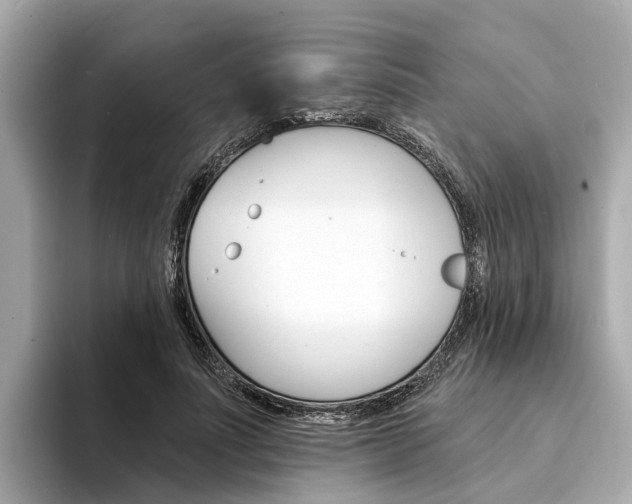X0000094330691200711021131