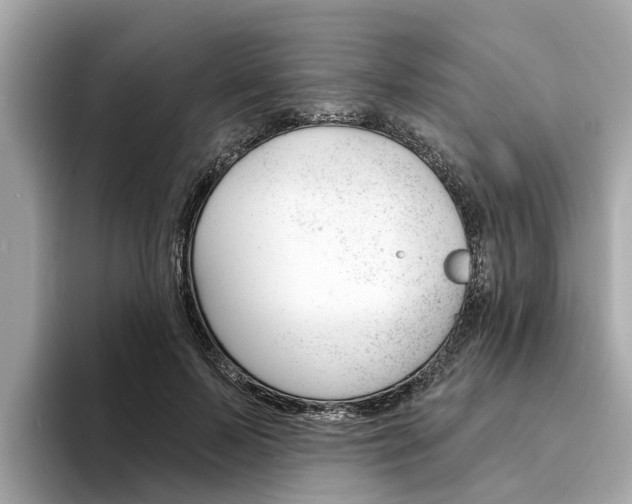 X0000094330695200711021131