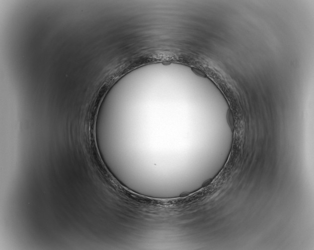 X0000094330696200711021131