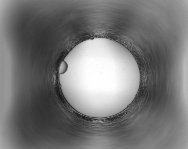 X0000094330703200711021131