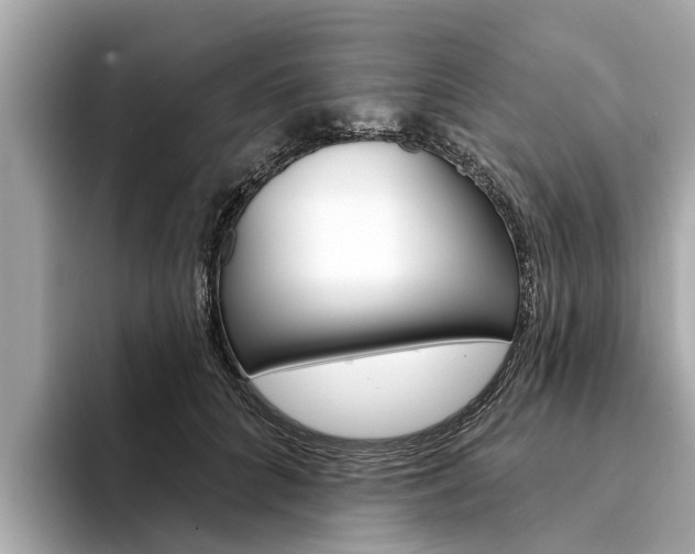 X0000094330704200711021131