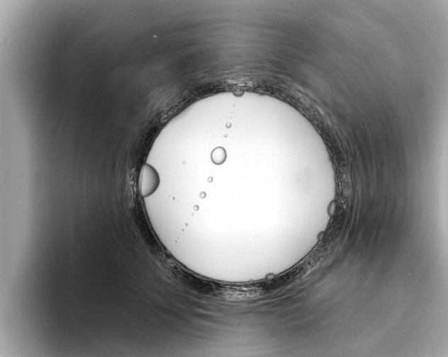 X0000094330707200711021131