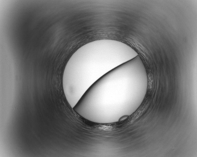 X0000094330718200711021131