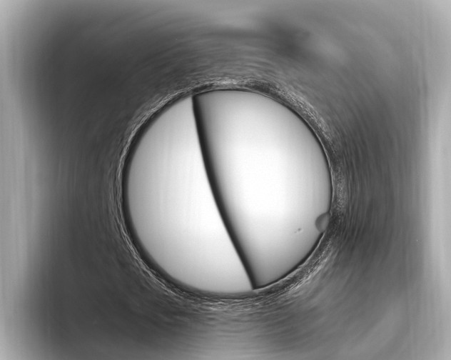 X0000094330721200711021130