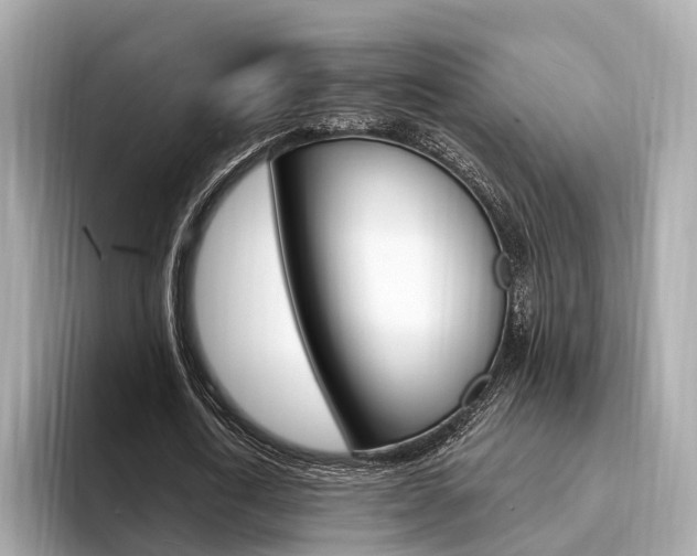 X0000094330722200711021130
