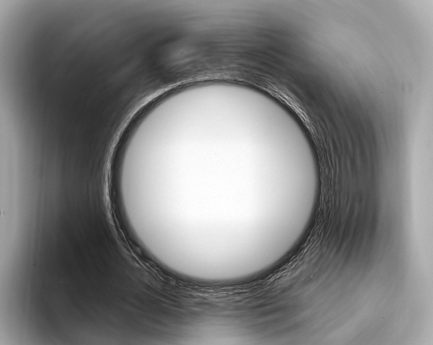 X0000094330724200711021130