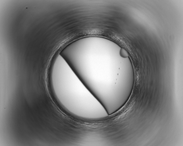 X0000094330725200711021130