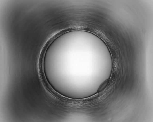 X0000094330726200711021130