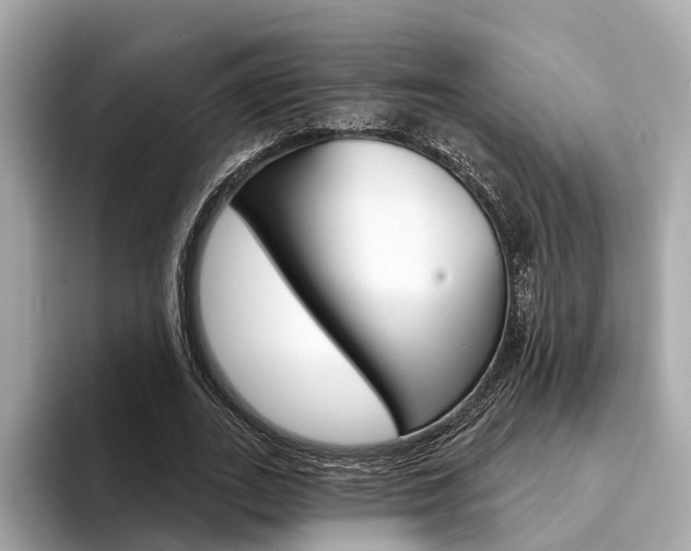 X0000094330727200711021130