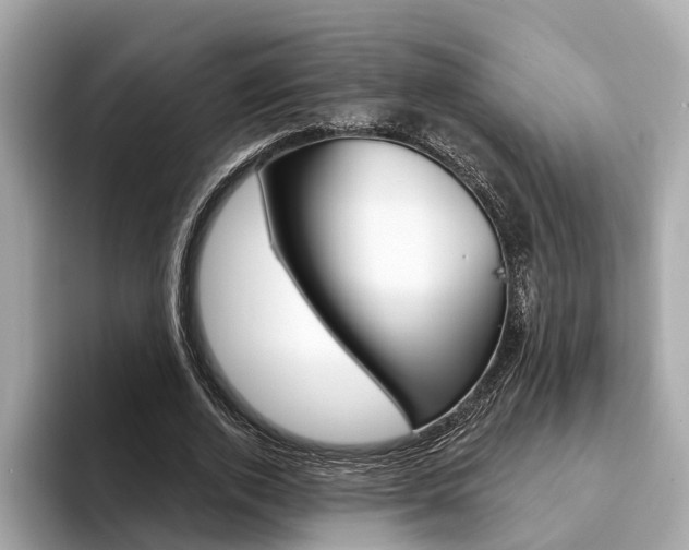 X0000094330728200711021130