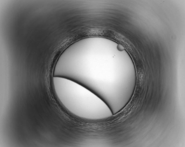 X0000094330729200711021130