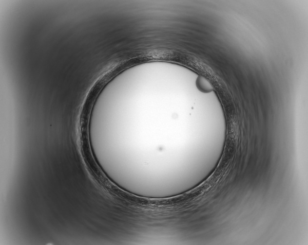 X0000094330730200711021130