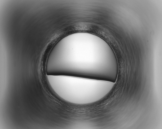 X0000094330731200711021130