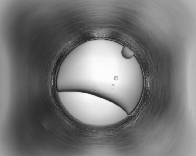 X0000094330733200711021130