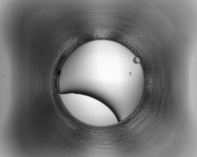 X0000094330738200711021130