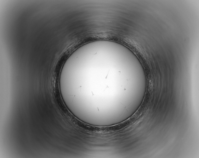 X0000094330739200711021131