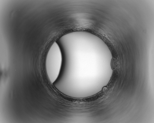 X0000094330742200711021131