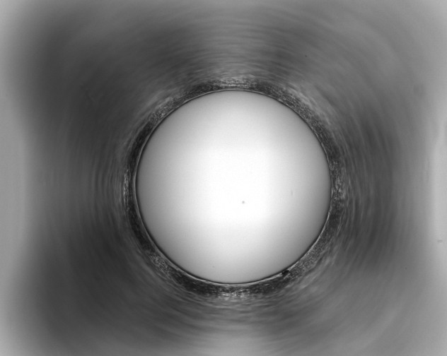 X0000094330744200711021131