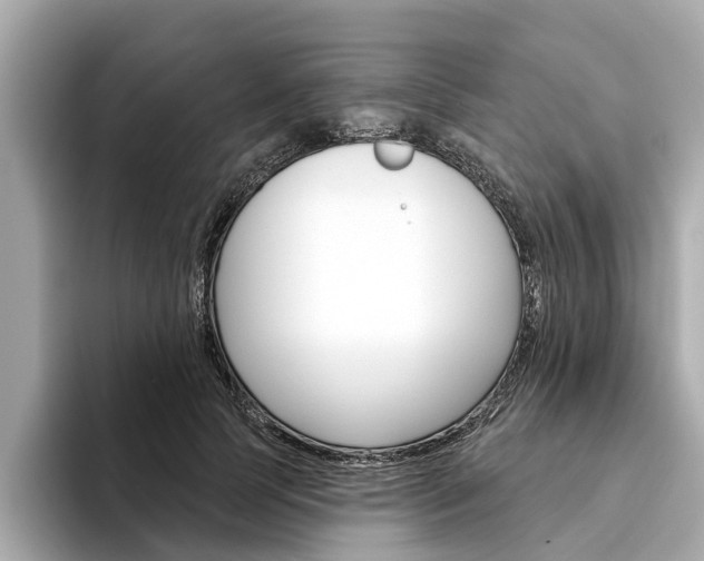 X0000094330745200711021131