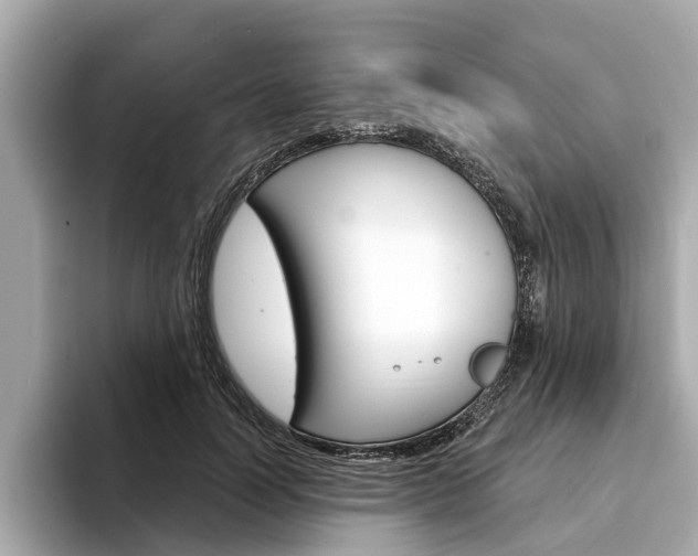 X0000094330746200711021131