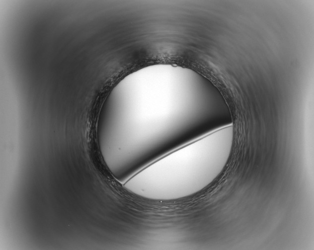 X0000094330750200711021131