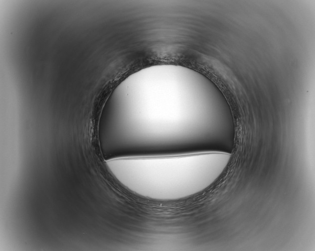 X0000094330752200711021131