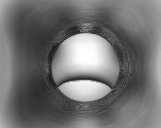 X0000094330755200711021131