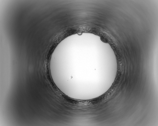 X0000094330757200711021131