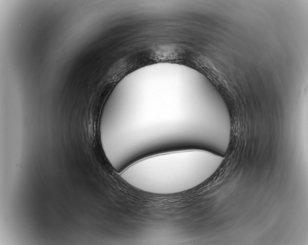 X0000094330763200711021131