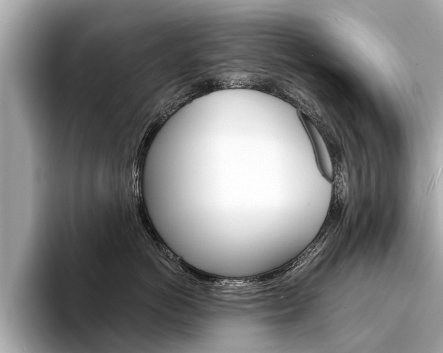 X0000094330766200711021131