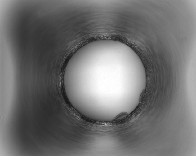 X0000094330768200711021131