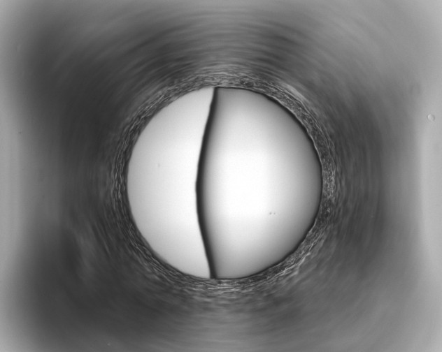 X0000094330774200711021130