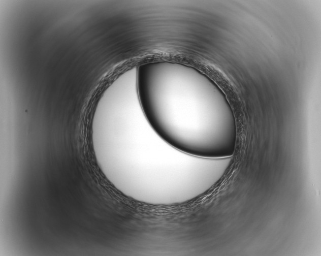 X0000094330776200711021130