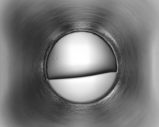 X0000094330777200711021130