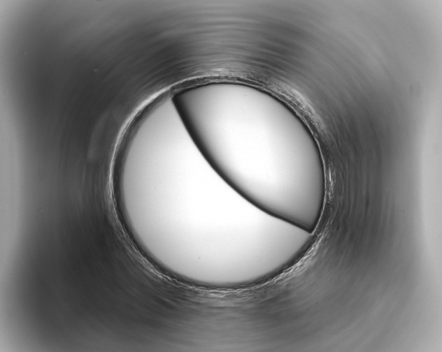 X0000094330780200711021130