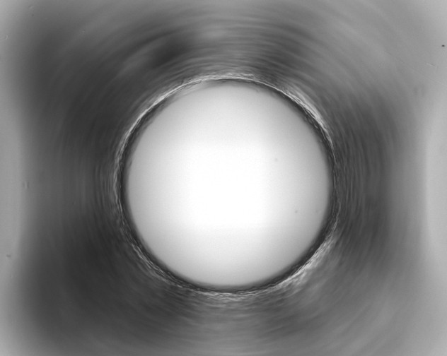 X0000094330781200711021130