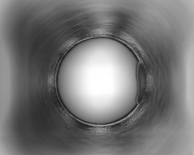 X0000094330785200711021130