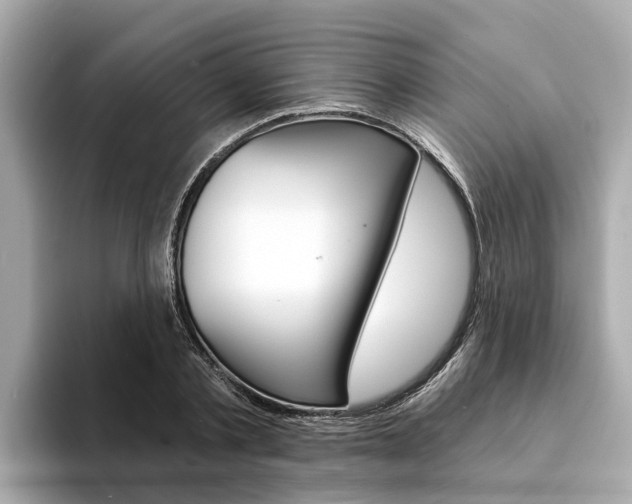 X0000094330789200711021130