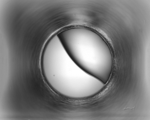 X0000094330791200711021130