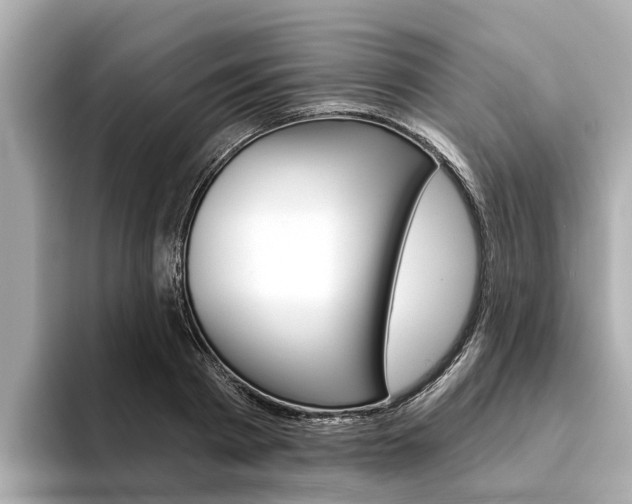 X0000094330793200711021130