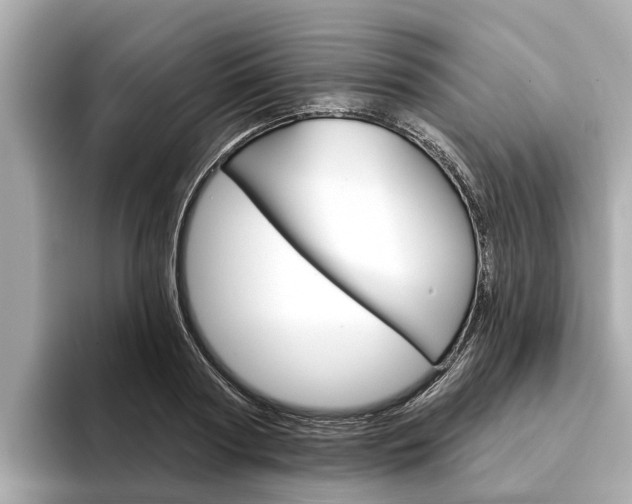 X0000094330794200711021130