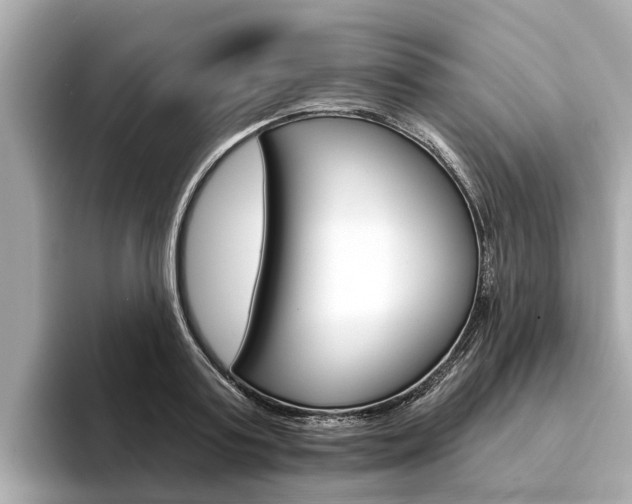 X0000094330795200711021130