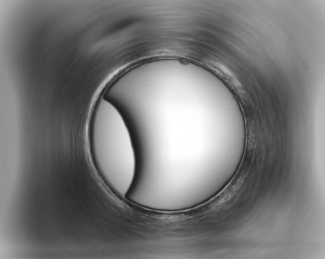 X0000094330796200711021130