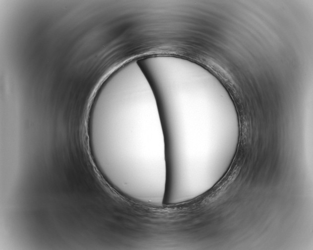 X0000094330800200711021130