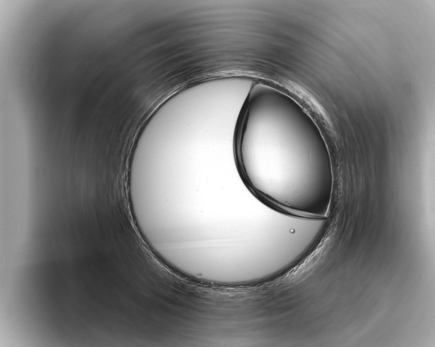 X0000094330801200711021130