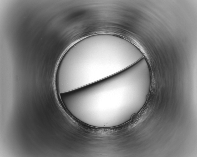 X0000094330803200711021130