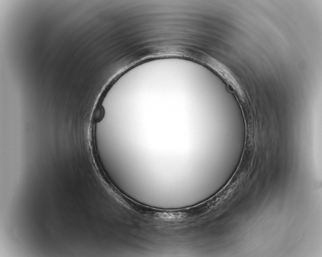 X0000094330805200711021130