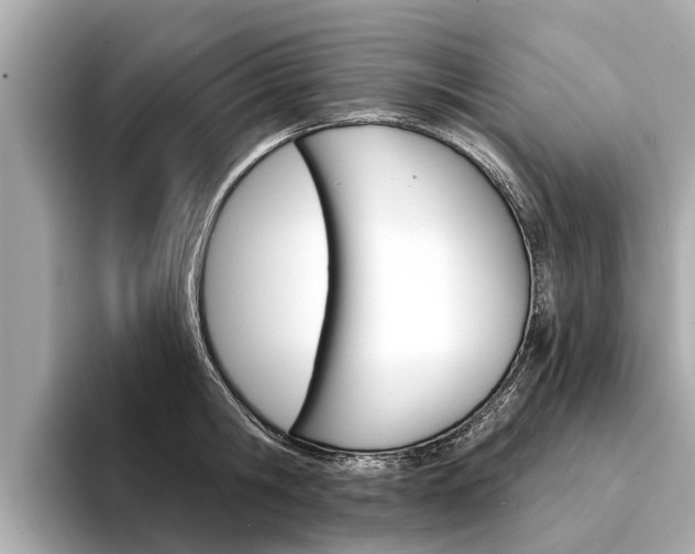 X0000094330806200711021130
