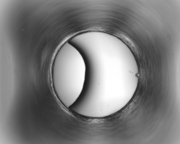 X0000094330808200711021130