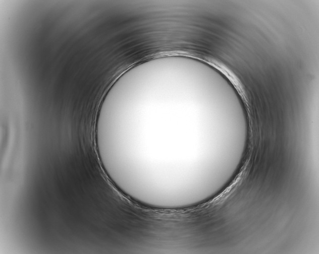 X0000094330809200711021130
